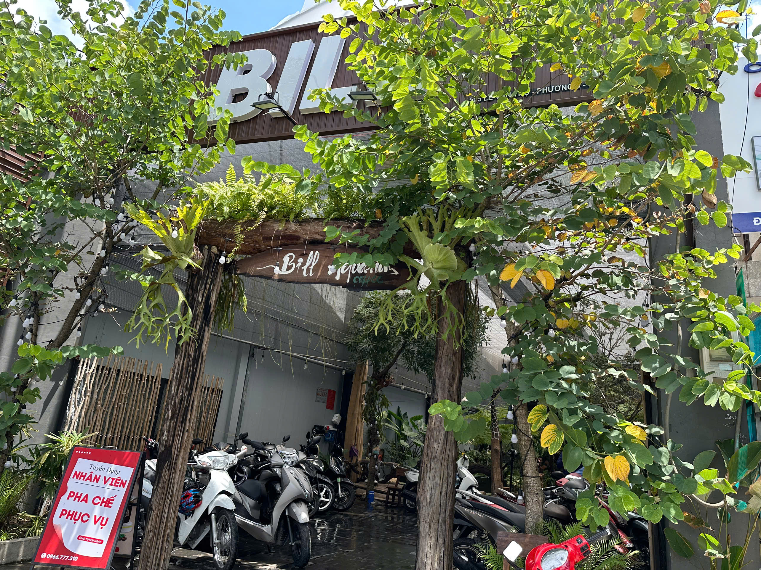 Review Bill Aquarium Coffee: Quán Cafe Thú Mini và Sinh Thái Độc Lạ Tại Gò Vấp